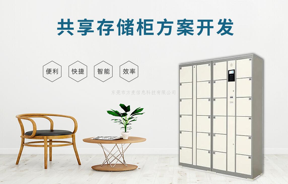 智能系统开发
