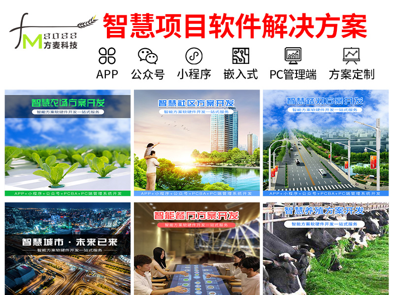 智慧项目系统软件+智...